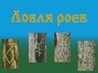 фильм Ловля роёв
