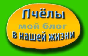 мой блог про пчёл