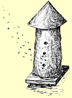 колода обыкновенная